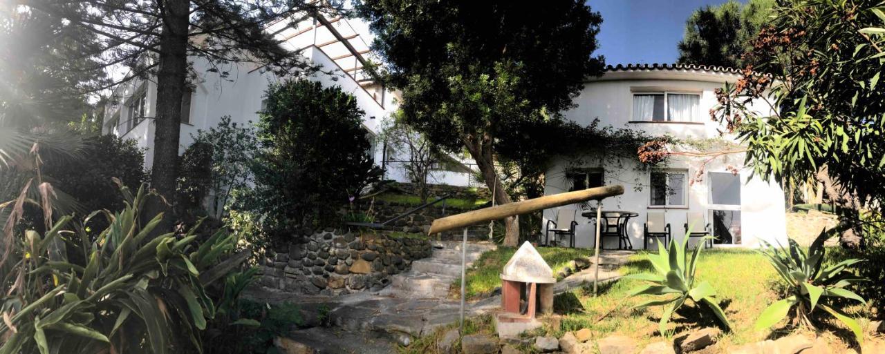 Casa Simba B&B (Adults Only) Estepona Exterior photo